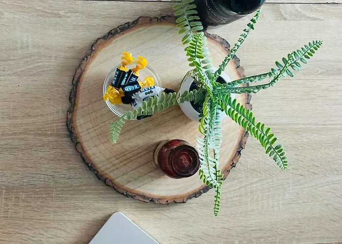 Sunrise Bay - Frontline Sea Views Apartment *